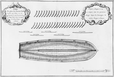 Plan d